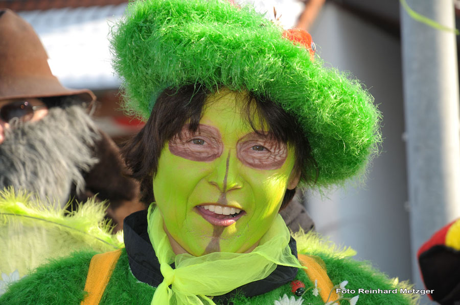 2010-02-16_002_Faschingszug