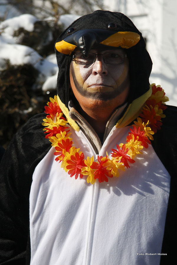 2010-02-16_014_Faschingszug