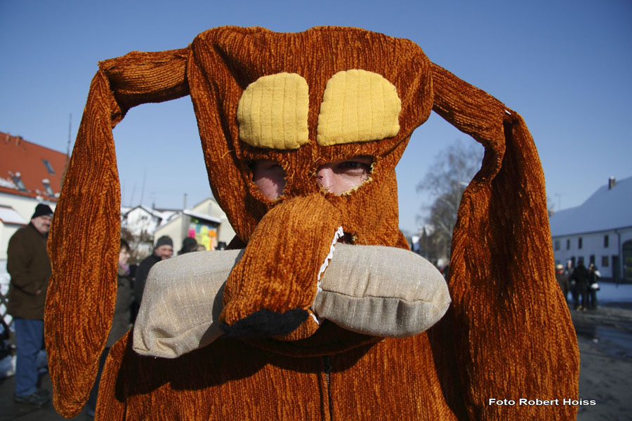 2010-02-16_016_Faschingszug
