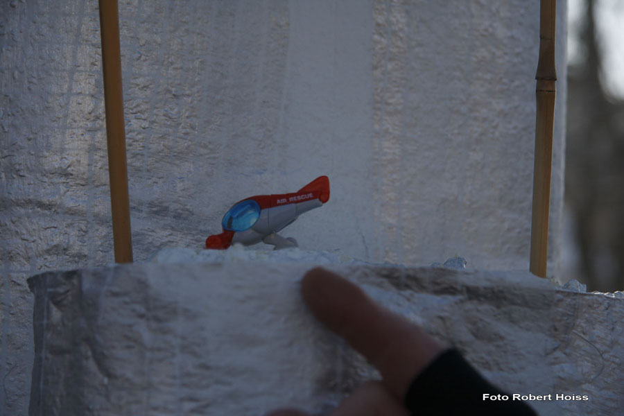 2010-02-16_036_Faschingszug