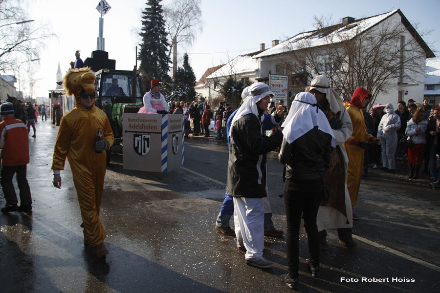 2010-02-16_044_Faschingszug