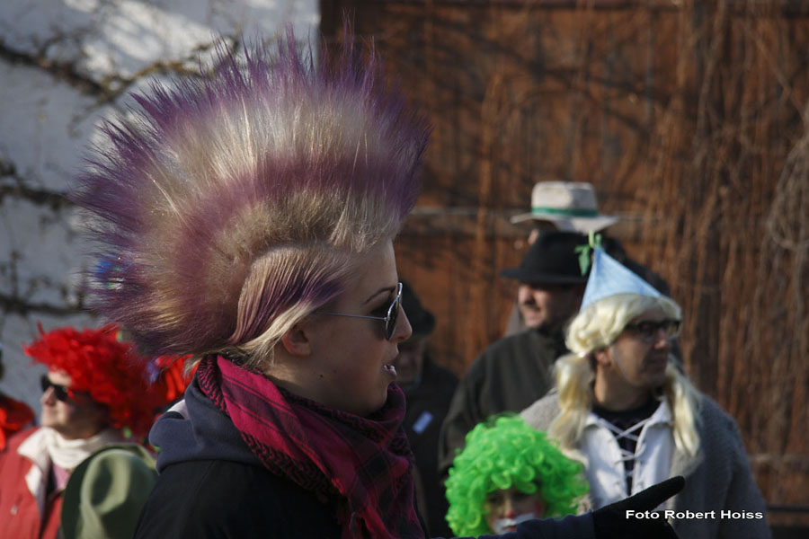 2010-02-16_064_Faschingszug