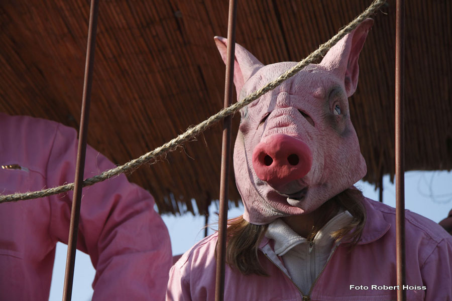 2010-02-16_077_Faschingszug