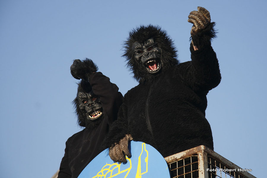 2010-02-16_166_Faschingszug