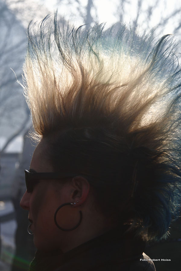 2010-02-16_187_Faschingszug