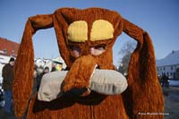 2010-02-16_016_Faschingszug