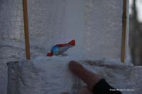 2010-02-16_036_Faschingszug