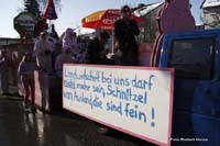 2010-02-16_042_Faschingszug