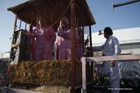 2010-02-16_076_Faschingszug