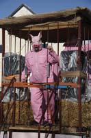 2010-02-16_078_Faschingszug