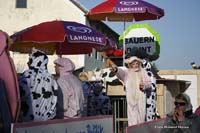 2010-02-16_152_Faschingszug