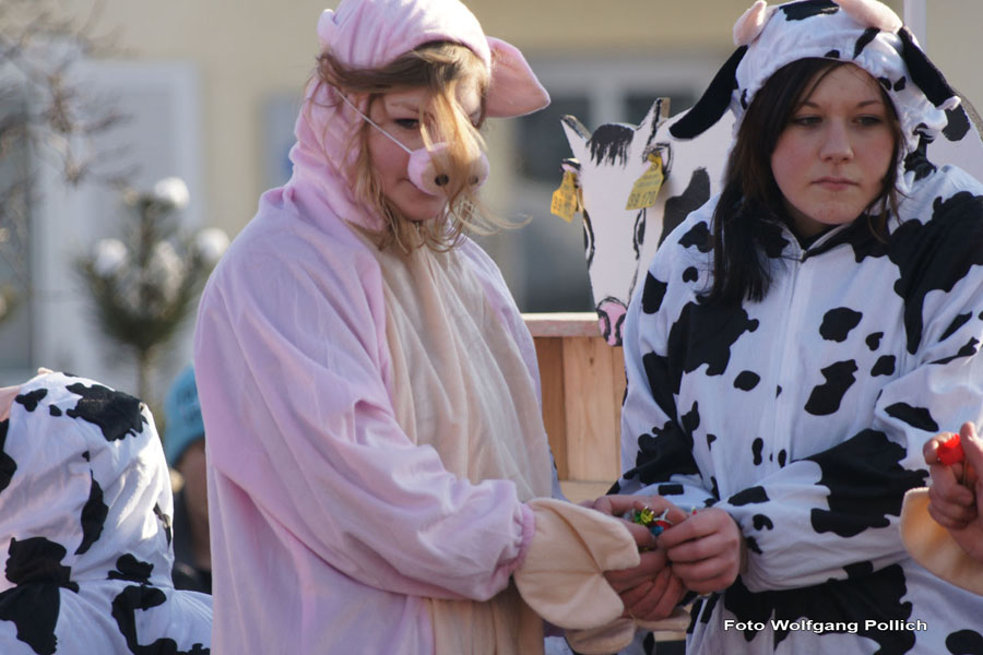2010-02-16_038_Faschingszug_Wolfi
