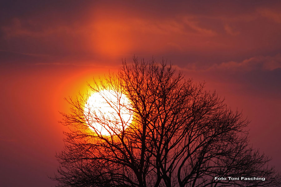 2010-02-20_01_Sonnenuntergang