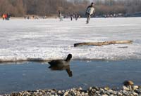 2009-02-01_01_Badesee