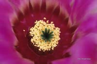 Hoiss_200503_K2005_0043