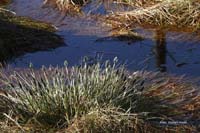 Hoiss_201003_IMG_8357