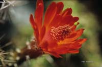 Hoiss_201003_K2005_0031