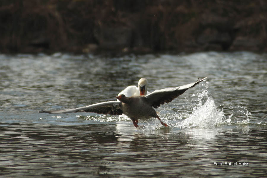 2010-04-11_01_Amperstausee