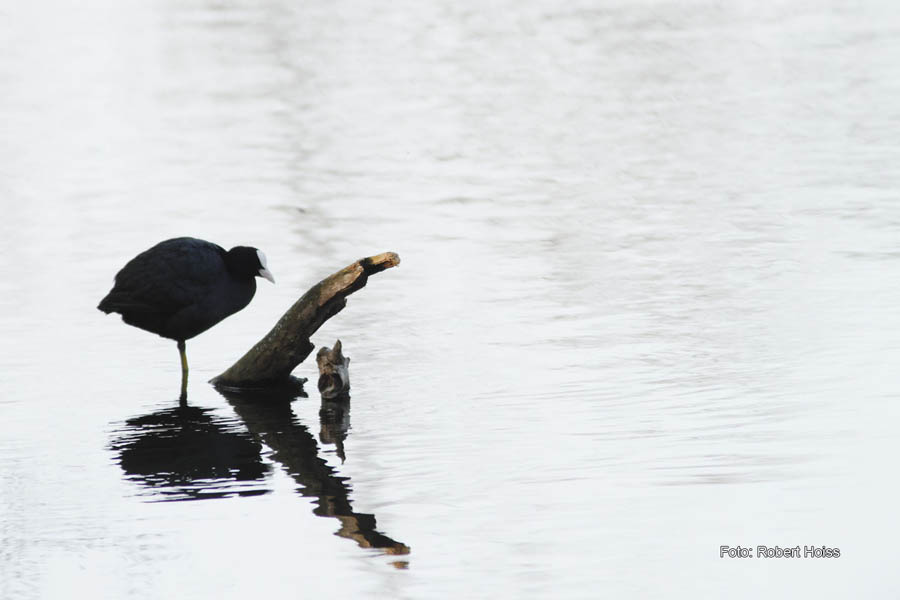 2010-04-17_08_Amperstausee