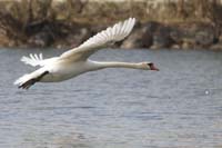 2010-04-11_02_Amperstausee