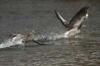 2010-04-11_04_Amperstausee