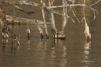 2010-04-17_06_Amperstausee