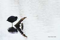 2010-04-17_08_Amperstausee