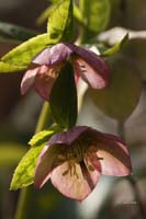 2010-04-17_25_Neulindach