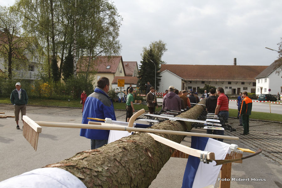 2010-05-01_184_Maibaumaufstellen