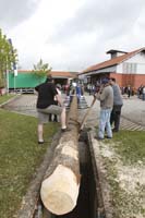 2010-05-01_188_Maibaumaufstellen