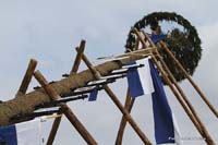 2010-05-01_201_Maibaumaufstellen