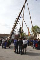 2010-05-01_203_Maibaumaufstellen