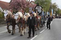 2010-05-07_173_Volksfesteinzug