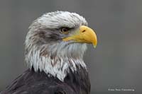 2010-05-15_32_Naturfototage_FFB