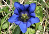 2010-05-25_36_blau_so_blau_