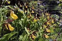 2010-06-06_14_ein_kleiner_Teil_von_allen_am_Hang