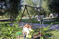 2010-07-31_10_Buergerhaus_Erlebnisgarten