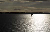 RME_7432 Segelboot_Gegenlicht