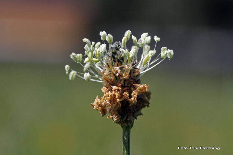 2010-08-01_05_Natur
