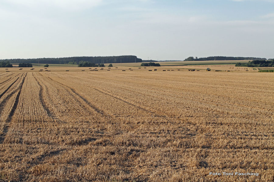 2010-08-20_52_Strohballen
