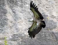 2010-08-30_01_Achtung_ich_komme