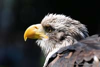 2010-08-30_02_Angeber