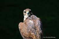 2010-08-30_03_meint_der_mich