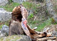 2010-08-30_05_ich_glaube