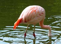 2010-08-30_07_Mich_sieht_keiner