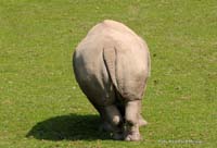 2010-08-30_11_ein_Bierchen_zu_viel