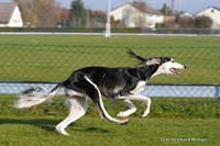 2010-08-30_12_wer_keucht_denn_da_hinter_mir