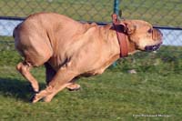 2010-08-30_14_und_schneller_ keuch_keuch