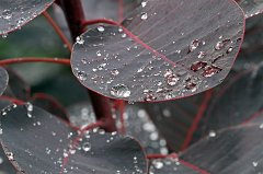 2010-09-25_2_Wassertropfen_TF