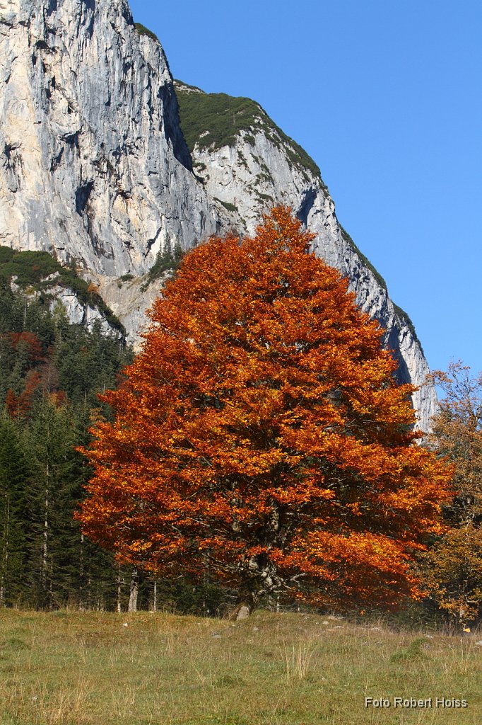 2010-10-09_05_Ahornboden_4228.JPG